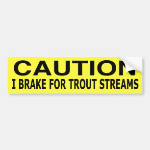 I brake for trout streams bumper sticker