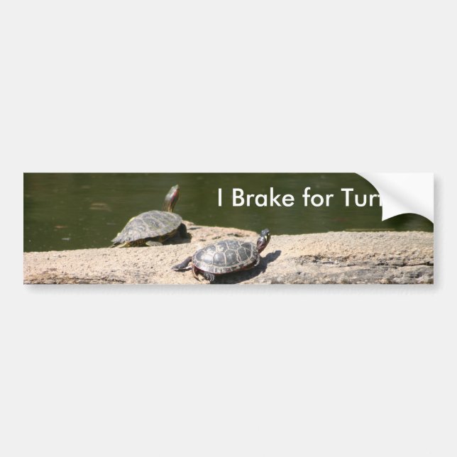 I Brake for Turtles Bumper Sticker (Front)