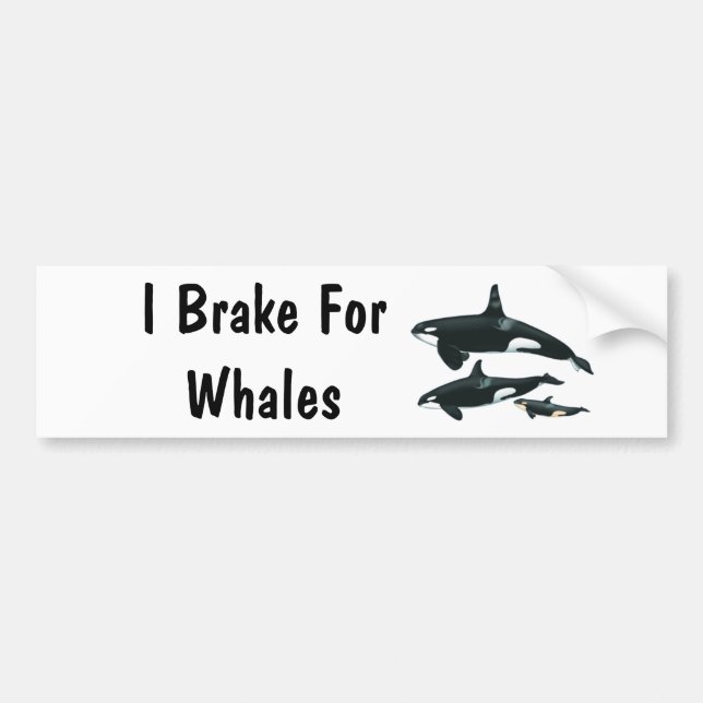 I Brake For Whales Bumper Sticker (Front)