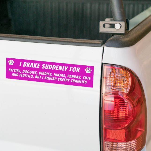 I BRAKE SUDDENLY FOR KITTIES, DOGGIES BIRDIES, BUT BUMPER STICKER (On Truck)