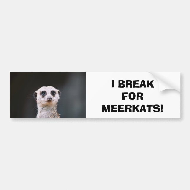 I Break for Meerkats! Bumper Sticker (Front)