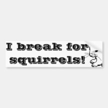 I break for squirrels 2