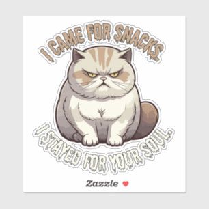 I Came for Snacks, Stayed for Your Soul Cat Meme