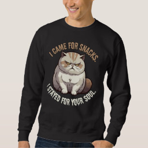 I Came for Snacks, Stayed for Your Soul Cat Meme Sweatshirt