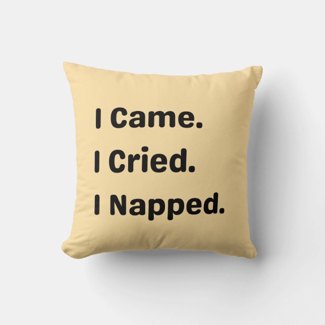 I Came. I Cried. I Napped. Funny Relatable Pillow (Front)