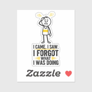 I Came I Saw I Forgot What I Was Doing