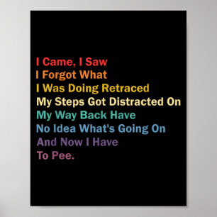 I Came I Saw I Forgot What I Was Doing Funny Sarca Poster