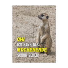 I can already see the weekend - Meerkat