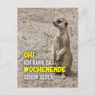 I can already see the weekend - Meerkat Postcard