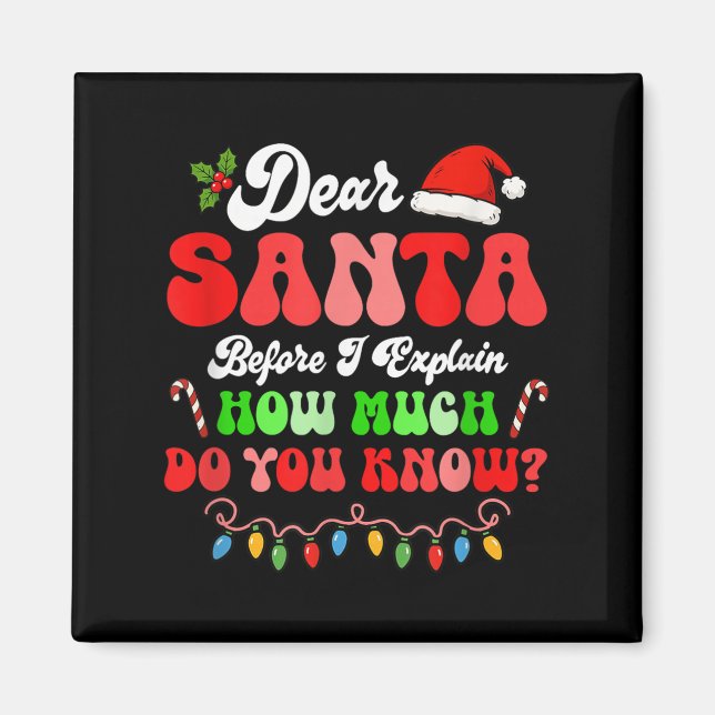 I Can Explain Christmas Colourful Lights Santa Cos Magnet (Front)