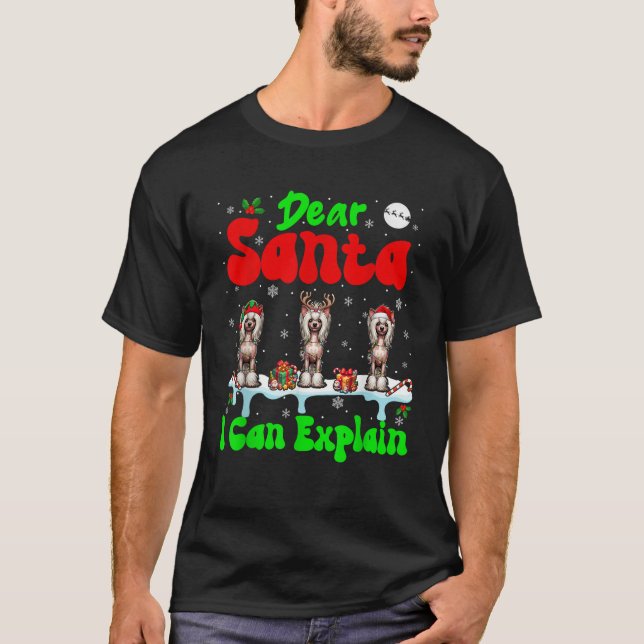 I Can Explain Xmas Three Santa Reindeer Chinese Cr T-Shirt (Front)