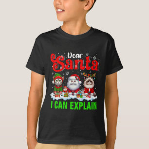 I Can Explain Xmas Three Santa Reindeer Elf Cats  T-Shirt