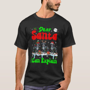 I Can Explain Xmas Three Santa Reindeer Great Dane T-Shirt