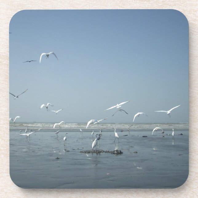 I can flying coaster (Front)