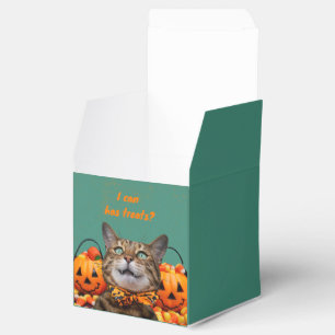 i Can Has Treats Cat Favour Box