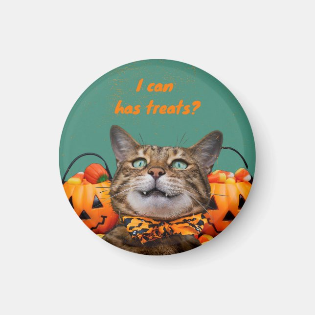 i Can Has Treats Cat Magnet (Front)