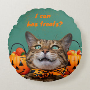 i Can Has Treats Cat Round Throw Pillow