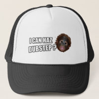 I CAN HAZ DUBSTEP? LOLz Dub Step Meme
