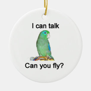 I can talk, Can you fly? Ceramic Tree Decoration