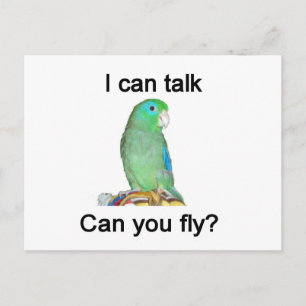 I can talk, can you fly? postcard