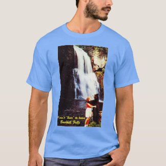 I Cant Bear to Leave Bushkill Falls T-Shirt