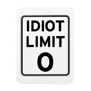 I can't deal with any more idiots magnet