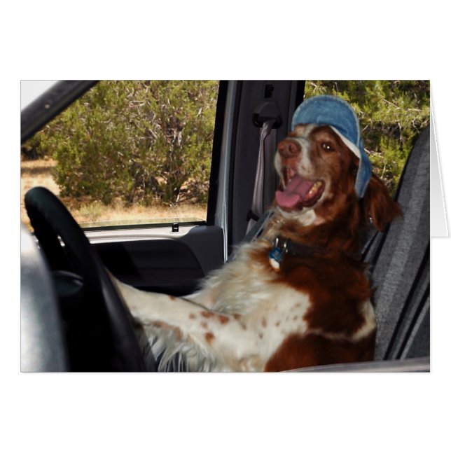 I CAN'T DRIVE 55! - Customised (Front Horizontal)