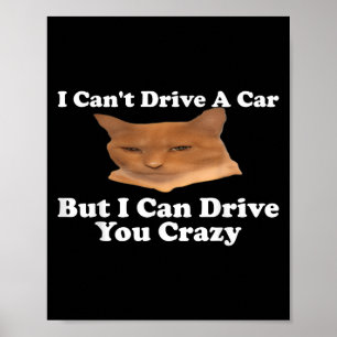 I Can't Drive A Car But I Can Drive You Crazy Cat Poster