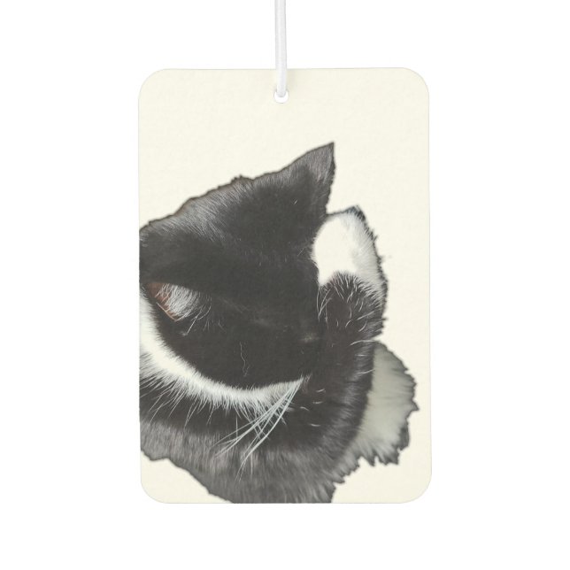 I Can't Even Right Meow Car Air Freshener (Front)