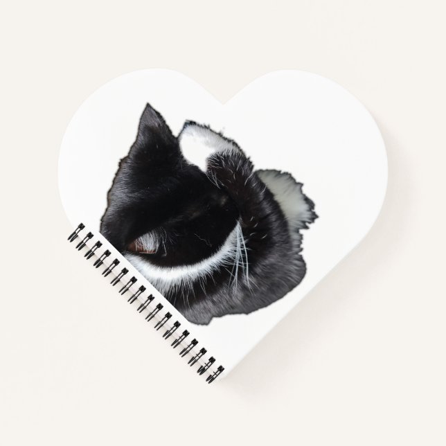 I Can't Even Right Meow Notebook (Front)