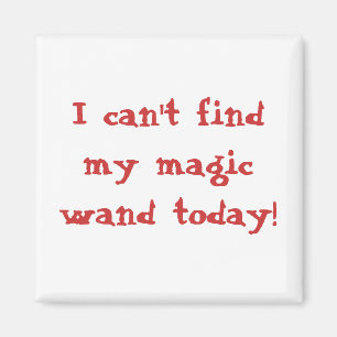 I can't find my magic wand today! magnet