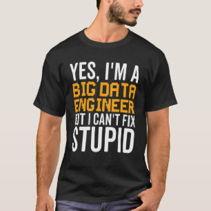 I Can't Fix Stupid Big Data Engineer T-Shirt