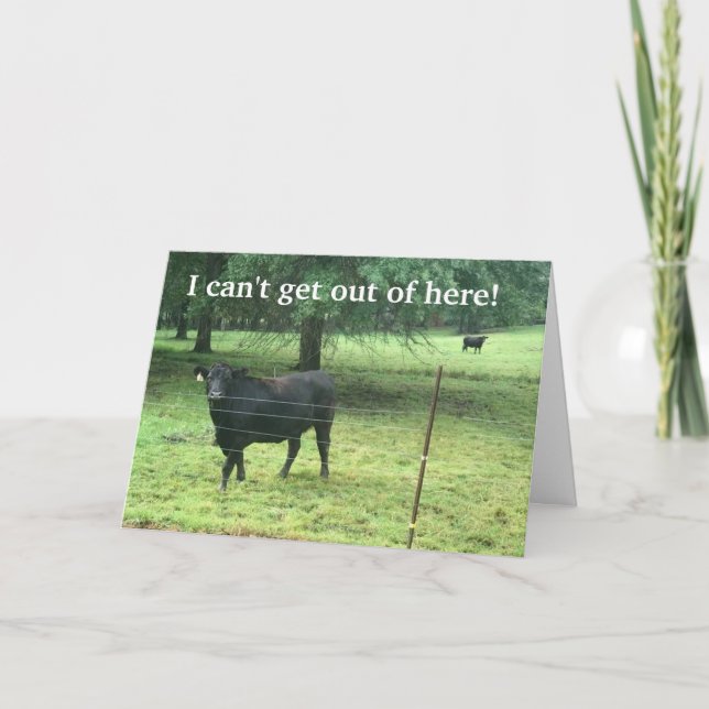 I CAN'T GET OUT TO SAY *HAPPY BIRTHDAY* IN PERSON! HOLIDAY CARD (Front)