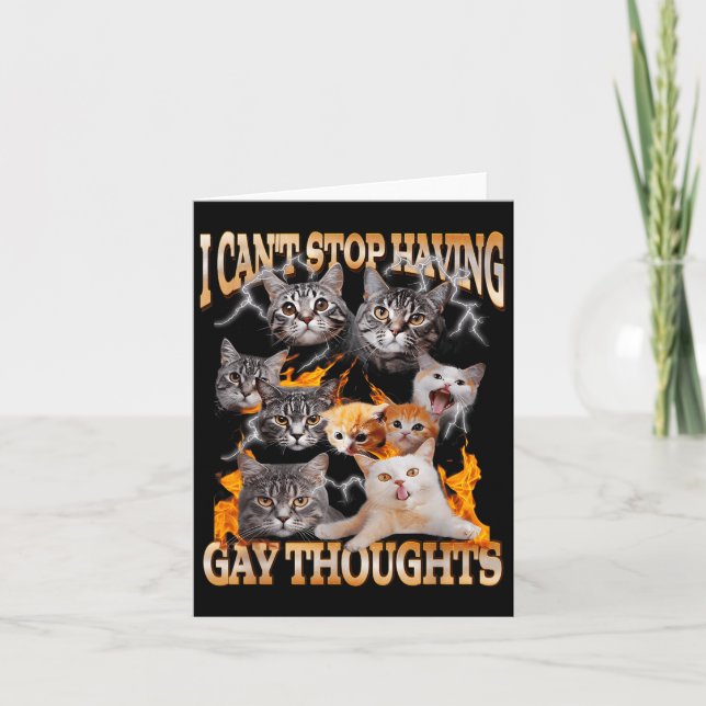 I Can't Stop Having Gay Thoughts Funny Cat Meme Bo Card (Front)