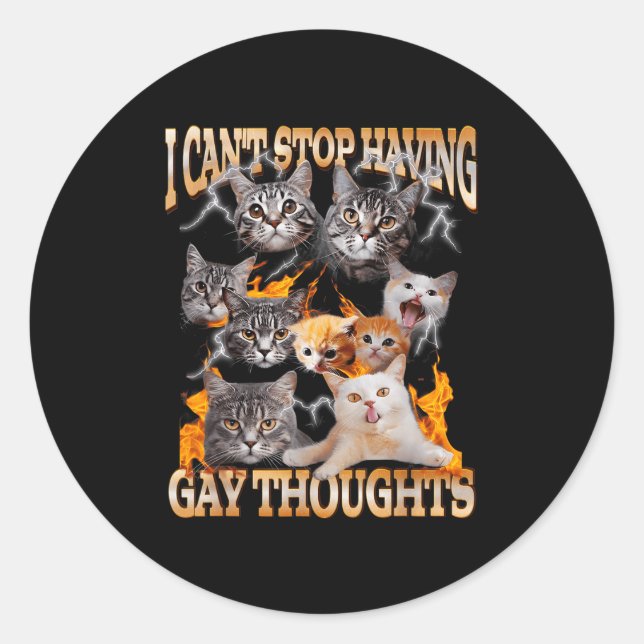 I Can't Stop Having Gay Thoughts Funny Cat Meme Bo Classic Round Sticker (Front)