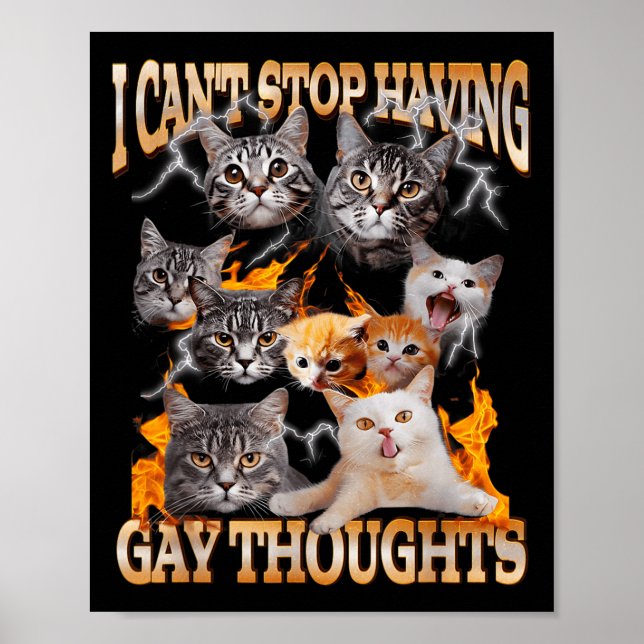 I Can't Stop Having Gay Thoughts Funny Cat Meme Bo Poster (Front)