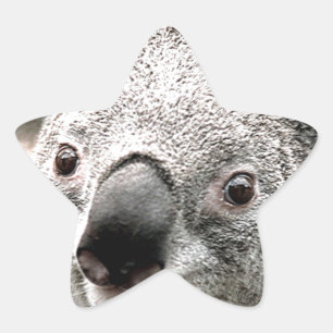 I Care_ Star Sticker