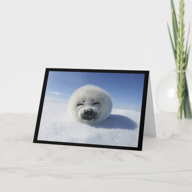 I Club You (love / valentine's day card) Holiday Card (Front)