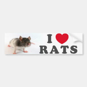 I coils (variegated) Rats Bumper Sticker