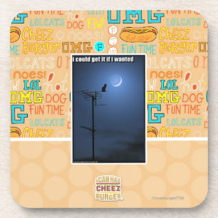 I could get it if I wanted Coaster