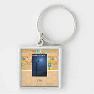 I could get it if I wanted Key Ring