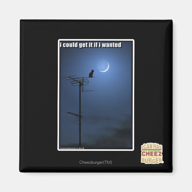 I could get it if I wanted Magnet (Front)