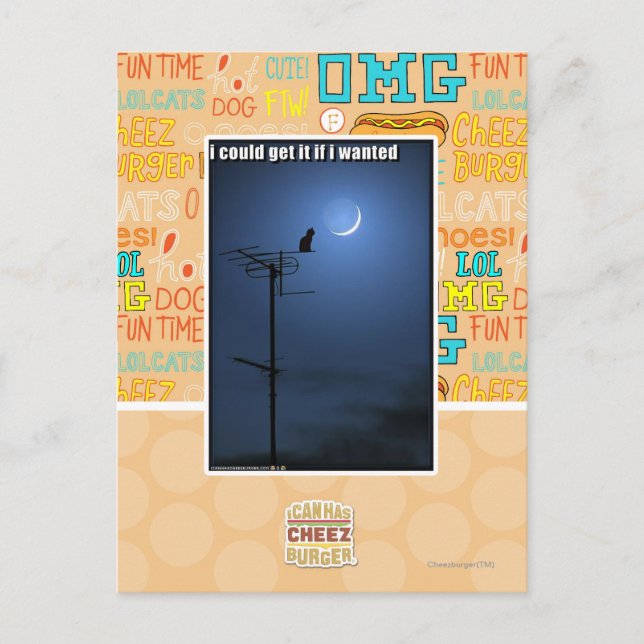 I could get it if I wanted Postcard (Front)