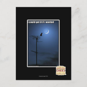 I could get it if I wanted Postcard