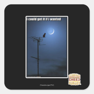 I could get it if I wanted Square Sticker