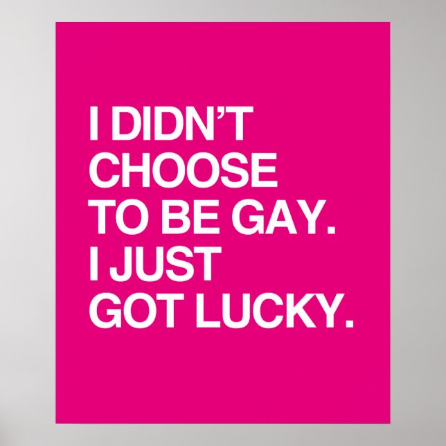 I DIDN'T CHOOSE TO BE GAY I JUST GOT LUCKY POSTER (Front)