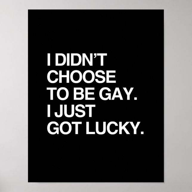 I DIDN'T CHOOSE TO BE GAY I JUST GOT LUCKY POSTER (Front)