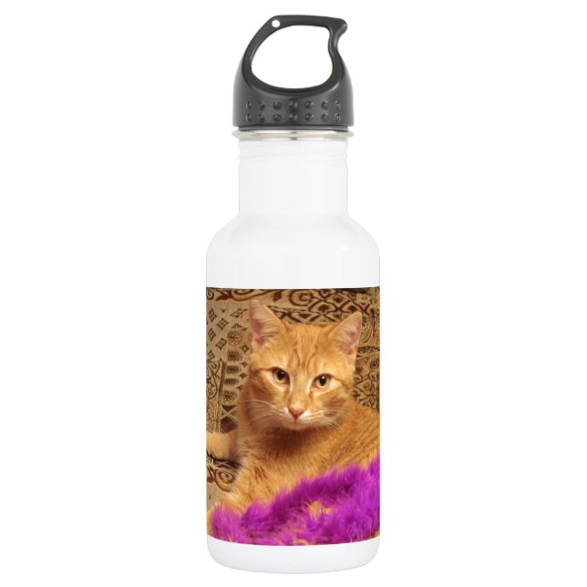 I Didn't Do It! 532 Ml Water Bottle (Front)