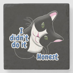 I didn't do it Cat Stone Coaster