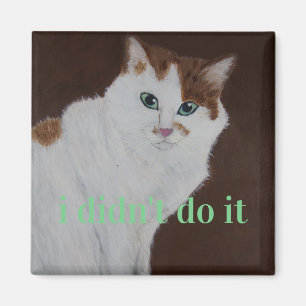 i didn't do it magnet